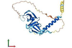 Protein Structure (PS) image for Opa Interacting Protein 5 (OIP5) (AA 1-241) protein (His tag) (ABIN7561945)