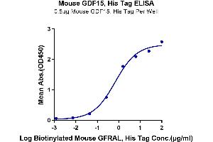 ELISA image for Growth Differentiation Factor 15 (GDF15) (AA 189-303) protein (His tag) (ABIN7274728)