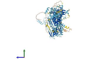 Protein Structure (PS) image for N-Acetyltransferase 10 (GCN5-Related) (NAT10) (AA 1-1025) protein (His tag) (ABIN7554688)