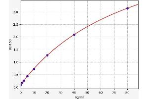 Peptidylprolyl Isomerase A (Cyclophilin A) (PPIA) ELISA Kit