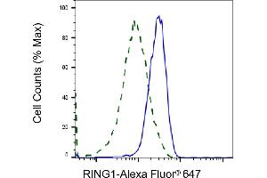 Validation of RING1 knockdown using flow cytometry. (Recombinant RING1 抗体)