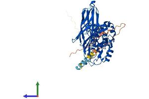 Protein Structure (PS) image for F-Box Protein 3 (FBXO3) (AA 1-480) protein (His tag) (ABIN7561323)