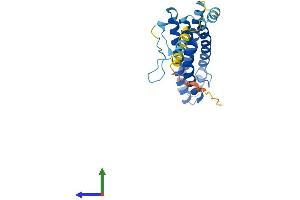 AlphaFold protein structure predicition of Mouse Recombinant Scamp5 Protein, UniprotID Q9JKD3