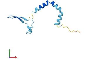 Protein Structure (PS) image for Canopy 1 Homolog (CNPY1) (AA 1-92) protein (His tag) (ABIN7546676)