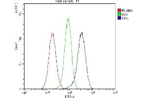 Flow Cytometry analysis of U251 cells using anti-PLAT antibody (ABIN6719378).