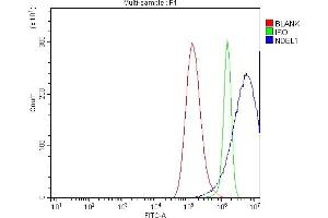 Flow Cytometry analysis of A549 cells using anti-NDEL1 antibody (ABIN7602511). (NDEL1 抗体  (AA 80-320))
