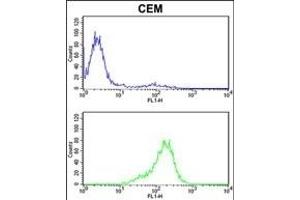 PRDX6 Antibody (C-term) (ABIN389471 and ABIN2839535) flow cytometric analysis of CEM cells (bottom histogram) compared to a negative control cell (top histogram). (Peroxiredoxin 6 抗体  (C-Term))