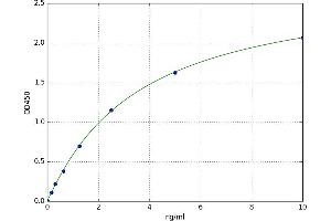 3-hydroxyisobutyrate Dehydrogenase (HIBADH) ELISA Kit