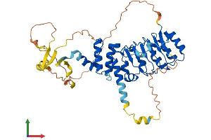 Protein Structure (PS) image for Leucine Rich Repeat Containing 42 (LRRC42) (AA 1-421) protein (His tag) (ABIN7559709)