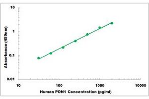 Representative Standard Curve (PON1 ELISA 试剂盒)