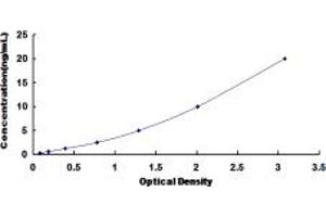 Typical standard curve (GPA33 ELISA 试剂盒)