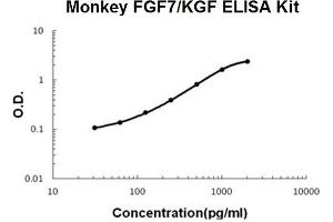 Monkey Primate FGF7/KGF PicoKine ELISA Kit standard curve (FGF7 ELISA 试剂盒)