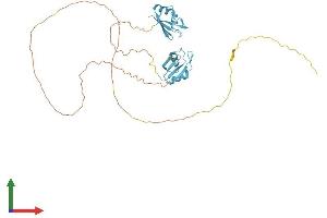Protein Structure (PS) image for serine/arginine-Rich Splicing Factor 6 (SRSF6) (AA 1-344) protein (His tag) (ABIN7546465)