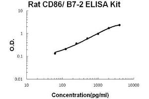 Rat CD86/B7-2 PicoKine ELISA Kit standard curve (CD86 ELISA 试剂盒)