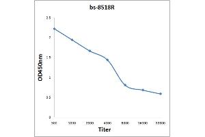 Antigen: 2 µg/100 µL  Primary: Antiserum, 1:500, 1:1000, 1:2000, 1:4000, 1:8000, 1:16000, 1:32000;  Secondary: HRP conjugated Rabbit Anti-Goat IgG at 1: 5000;  TMB staining Read the data in Microplate Reader by 450nm. (SPP2 抗体  (AA 55-160))