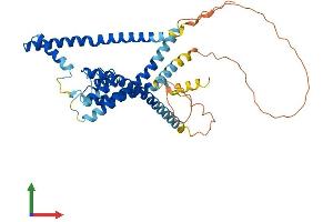 Protein Structure (PS) image for Potassium Channel Subfamily K Member 13 (KCNK13) (AA 1-405) protein (His tag) (ABIN7559678)