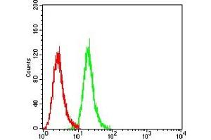 Flow Cytometry (FACS) image for anti-Insulin-Like Growth Factor 2 mRNA Binding Protein 3 (IGF2BP3) (AA 430-579) antibody (ABIN7193580)