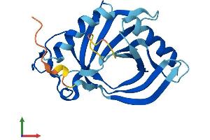 Protein Structure (PS) image for Heme Binding Protein 1 (HEBP1) (AA 1-190) protein (His tag) (ABIN7556232)