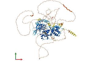 AlphaFold protein structure predicition of Mouse Recombinant Dennd2c Protein, UniprotID Q6P9P8