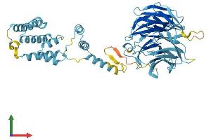 Protein Structure (PS) image for Smu-1 Suppressor of Mec-8 and Unc-52 Homolog (SMU1) (AA 1-513) protein (His tag) (ABIN7557216)