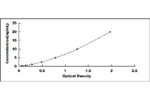 Typical standard curve (FKBPL ELISA 试剂盒)