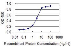 Detection limit for recombinant GST tagged CEACAM6 is 0. (CEACAM6 抗体  (AA 156-265))