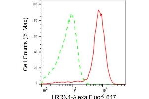 Flow cytometric analysis of LRRN1 expression in HAP-1 cells using LRRN1 antibody (ABIN7799252), 1:2,000). (LRRN1 抗体)