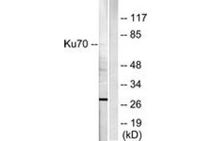 Western blot analysis of extracts from HepG2 cells, using Ku70 Antibody. (XRCC6 抗体  (AA 560-609))
