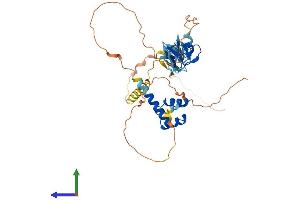Protein Structure (PS) image for LIM Homeobox 9 (LHX9) (AA 1-397) protein (His tag) (ABIN7549043)