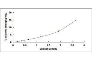 Glutathione S-Transferase pi 1 (GSTP1) ELISA Kit