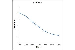 Antigen: 0. (CNTN3 抗体  (AA 301-400))
