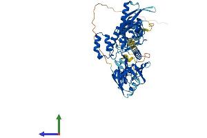 AlphaFold protein structure predicition of Human Recombinant SNX27 Protein, UniprotID Q96L92