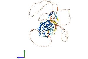 Protein Structure (PS) image for BRCA1 Associated Protein-1 (Ubiquitin Carboxy-terminal Hydrolase) (BAP1) (AA 1-729) protein (His tag) (ABIN7552723)