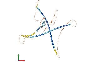 Protein Structure (PS) image for Testis-Specific serine Kinase Substrate (TSKS) (AA 1-592) protein (His tag) (ABIN7544870)