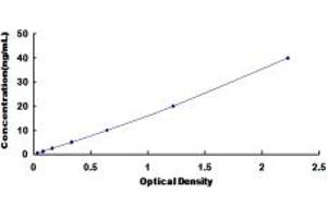 Typical standard curve (NAT2 ELISA 试剂盒)