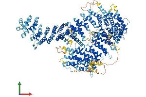 AlphaFold protein structure predicition of Human Recombinant FANCI Protein, UniprotID Q9NVI1