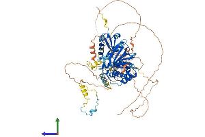 AlphaFold protein structure predicition of Mouse Recombinant Epb41l4a Protein, UniprotID P52963