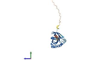 Protein Structure (PS) image for RAB3C, Member RAS Oncogene Family (Rab3c) (AA 1-227) protein (His tag) (ABIN7551226)