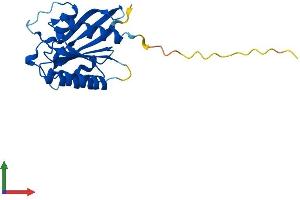 Protein Structure (PS) image for NFKB Inhibitor Interacting Ras-Like 2 (NKIRAS2) (AA 1-191) protein (His tag) (ABIN7548805)