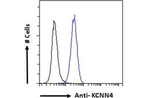 Flow Cytometry (FACS) image for anti-Potassium Intermediate/small Conductance Calcium-Activated Channel, Subfamily N, Member 4 (KCNN4) (Internal Region) antibody (ABIN6391378)