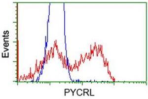 Flow Cytometry (FACS) image for anti-Pyrroline-5-Carboxylate Reductase 3 (PYCRL) antibody (ABIN1500524) (PYCRL 抗体)