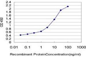 Detection limit for recombinant GST tagged PDE3B is approximately 0. (PDE3B 抗体  (AA 401-500))