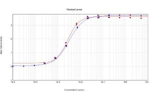 ELISA results of Anti-Feimin (Mouse) Monoclonal Antibody Clone 7F7. (Feimin 抗体)