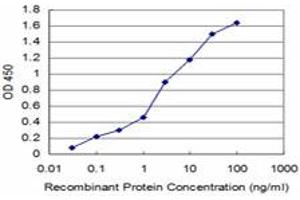 Detection limit for recombinant GST tagged ACYP2 is approximately 0. (Acyp2 抗体  (AA 1-98))