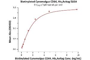 Immobilized Ipilimumab at 1 μg/mL (100 μL/well) can bind Biotinylated Cynomolgus CD64, His,Avitag (ABIN6810049,ABIN6938894) with a linear range of 0. (FCGR1A Protein (AA 11-288) (His tag,AVI tag,Biotin))