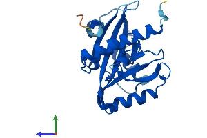 Protein Structure (PS) image for Nudix (Nucleoside Diphosphate Linked Moiety X)-Type Motif 16-Like 1 (NUDT16L1) (AA 1-211) protein (His tag) (ABIN7546010)