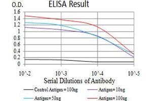 Black line: Control Antigen (100 ng), Purple line: Antigen(10 ng), Blue line: Antigen (50 ng), Red line: Antigen (100 ng), (LEF1 抗体  (AA 33-138))