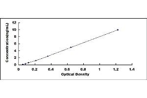 Typical standard curve (HEXB ELISA 试剂盒)