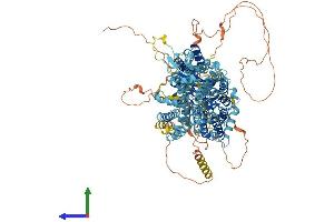 Protein Structure (PS) image for Solute Carrier Family 4, Sodium Bicarbonate Transporter, Member 10 (SLC4A10) (AA 1-1118) protein (His tag) (ABIN7555366)