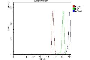 Flow Cytometry analysis of U251 cells using anti-ACACA antibody (ABIN7601254).